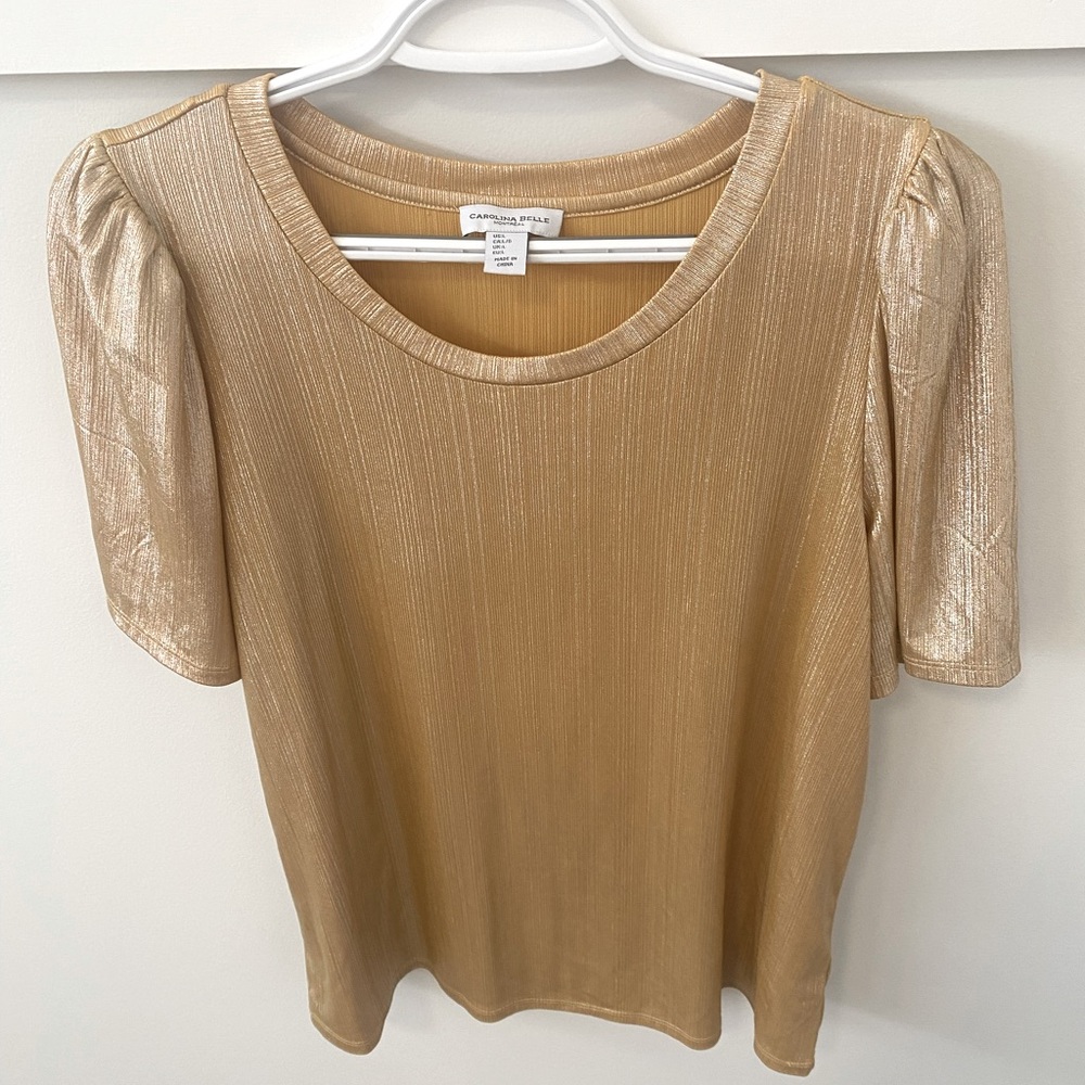 NWOT - Carolina Belle shimmer top